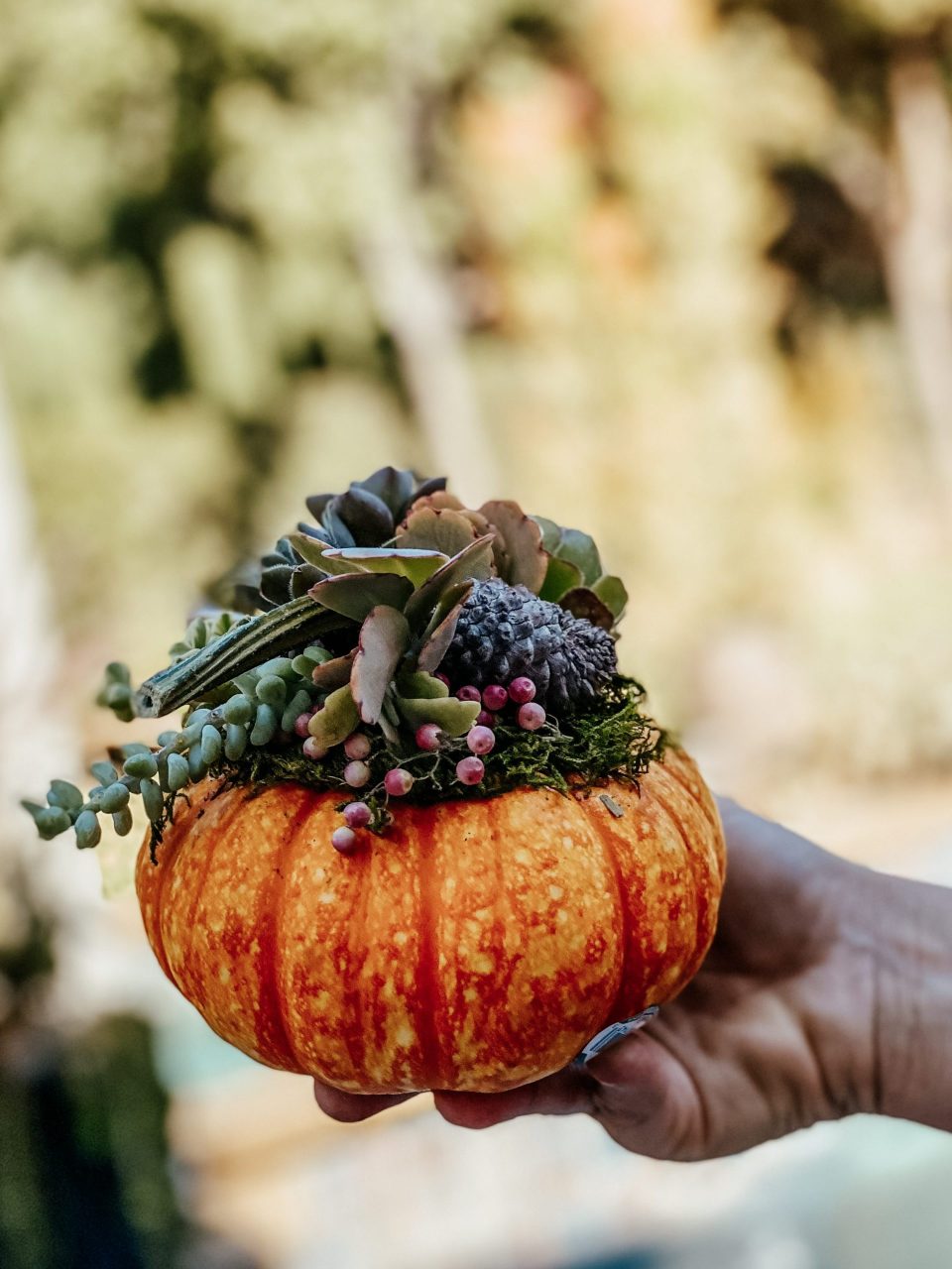 Holding a DIY succulent pumpkin
