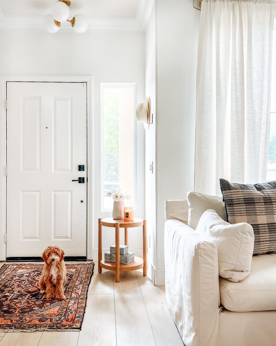 Teddy sitting by the door, ready to welcome you in!